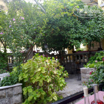 фото из отзыва ID 394232