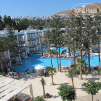 фото из отзыва ID 394347