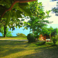 фото из отзыва ID 394781