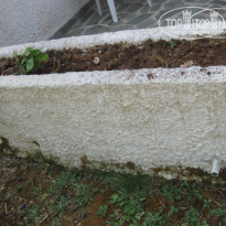 фото из отзыва ID 394824