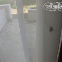 фото из отзыва ID 394824