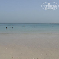 фото из отзыва ID 395205