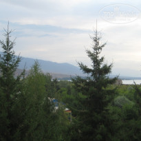 фото из отзыва ID 395405