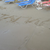 фото из отзыва ID 395509