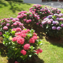 фото из отзыва ID 395626