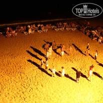 фото из отзыва ID 395633