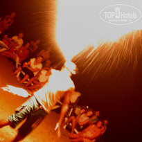 фото из отзыва ID 395633