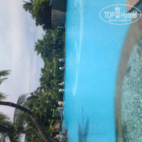 фото из отзыва ID 395696