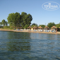 фото из отзыва ID 395735