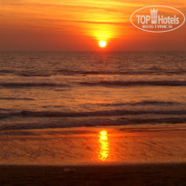 фото из отзыва ID 395886