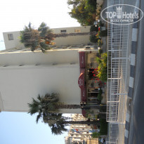 фото из отзыва ID 396176