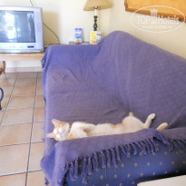 фото из отзыва ID 396176