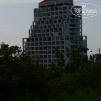 фото из отзыва ID 396800