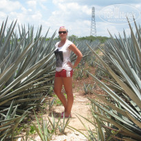 фото из отзыва ID 397243