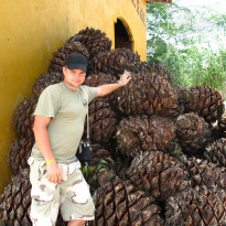 фото из отзыва ID 397243