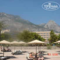 фото из отзыва ID 397178