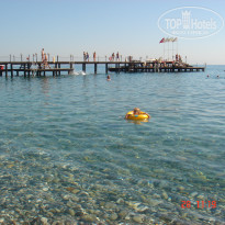 фото из отзыва ID 397178