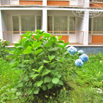 фото из отзыва ID 397249