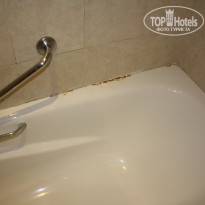 фото из отзыва ID 397278