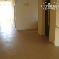 фото из отзыва ID 397467