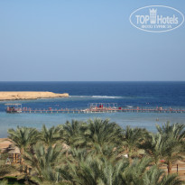 фото из отзыва ID 397826