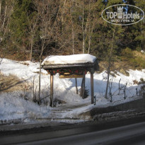 фото из отзыва ID 398143