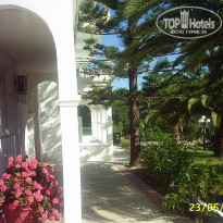 фото из отзыва ID 398300