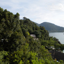 фото из отзыва ID 398313