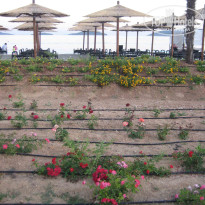 фото из отзыва ID 398376