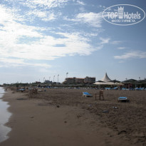 фото из отзыва ID 399249