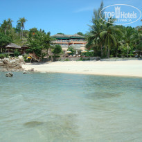 фото из отзыва ID 399370