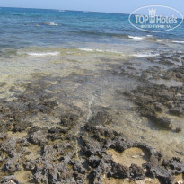 фото из отзыва ID 399417