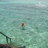 фото из отзыва ID 399995