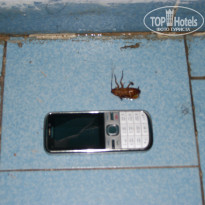 фото из отзыва ID 400239