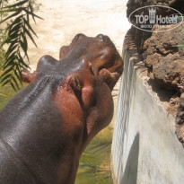 фото из отзыва ID 400854