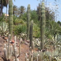 фото из отзыва ID 400854