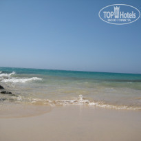 фото из отзыва ID 400854