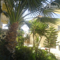 фото из отзыва ID 401255