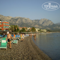 фото из отзыва ID 401306