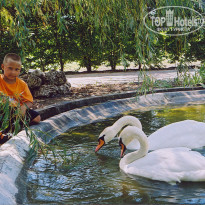 фото из отзыва ID 401412