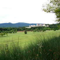 фото из отзыва ID 401802