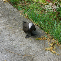 фото из отзыва ID 401812