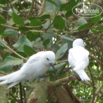 фото из отзыва ID 401812