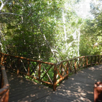 фото из отзыва ID 401836