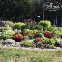 фото из отзыва ID 401974