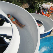 фото из отзыва ID 401578