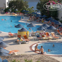 фото из отзыва ID 402026