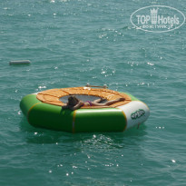 фото из отзыва ID 402090