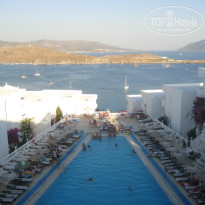 фото из отзыва ID 402097