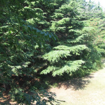 фото из отзыва ID 402146